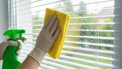 雨のたびに窓を洗わなくて済むように、窓ガラスを磨く方法：手元にあるものでできる方法