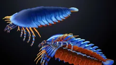 ユタ州で発見された化石により、クモやサソリに特徴的な顎（ヘリサー）の出現時期が、2000万年前へと遡ることが明らかになった。