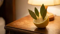 部屋にレモンと月桂樹の葉を置いてみてください。翌朝、きっと自分に感謝することになるでしょう。