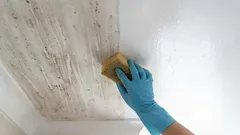 隣人が教えてくれた、汚れのない完璧な張り天井の秘訣：跡が残らない簡単な方法